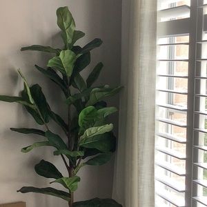 Meet your Posher, Whitney